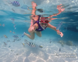 Underwater Odyssey snorkeling excursion in Pattaya Thailand photo 1009