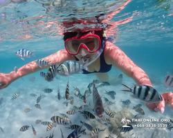 Underwater Odyssey snorkeling excursion in Pattaya Thailand photo 375