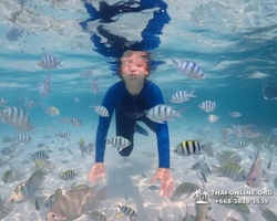 Underwater Odyssey snorkeling excursion in Pattaya Thailand photo 824