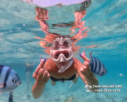 Underwater Odyssey snorkeling excursion Pattaya Thailand photo 10981