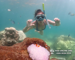 Underwater Odyssey snorkeling excursion Pattaya Thailand photo 19407