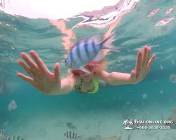 Underwater Odyssey snorkeling excursion in Pattaya Thailand photo 255