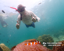 Underwater Odyssey snorkeling tour from Pattaya Thailand photo 18283