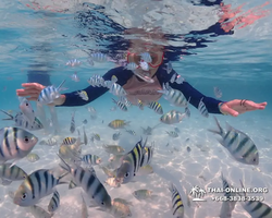 Underwater Odyssey snorkeling excursion in Pattaya Thailand photo 648