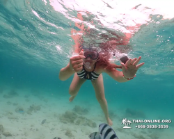 Underwater Odyssey snorkeling excursion in Pattaya Thailand photo 108