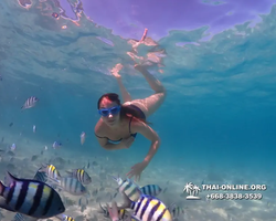 Underwater Odyssey snorkeling tour from Pattaya Thailand photo 10789