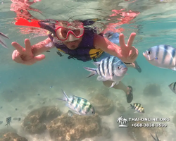 Underwater Odyssey snorkeling excursion Pattaya Thailand photo 19317