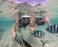 Underwater Odyssey snorkeling excursion Pattaya Thailand photo 19285