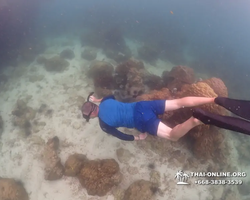 Underwater Odyssey snorkeling excursion in Pattaya Thailand photo 302