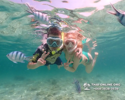 Underwater Odyssey snorkeling tour from Pattaya Thailand photo 18360