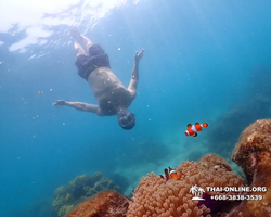 Underwater Odyssey snorkeling excursion in Pattaya Thailand photo 1024