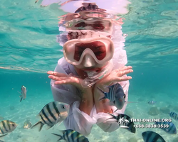 Underwater Odyssey snorkeling tour from Pattaya Thailand photo 14274