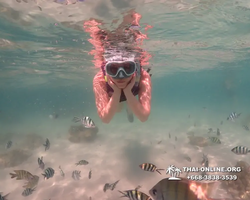 Underwater Odyssey snorkeling excursion Pattaya Thailand photo 19570