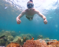 Underwater Odyssey snorkeling tour from Pattaya Thailand photo 14338