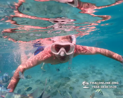 Underwater Odyssey snorkeling excursion Pattaya Thailand photo 11136