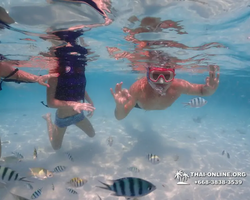 Underwater Odyssey snorkeling excursion in Pattaya Thailand photo 1004