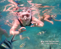 Underwater Odyssey snorkeling excursion Pattaya Thailand photo 11576