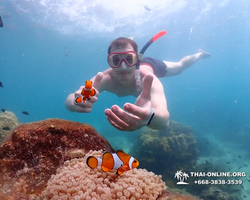 Underwater Odyssey snorkeling excursion in Pattaya Thailand photo 455