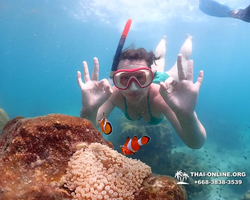 Underwater Odyssey snorkeling excursion in Pattaya Thailand photo 390