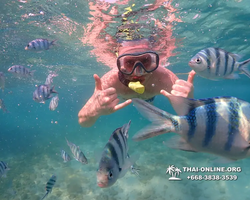 Underwater Odyssey snorkeling excursion Pattaya Thailand photo 11527