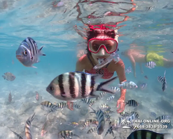 Underwater Odyssey snorkeling excursion in Pattaya Thailand photo 446