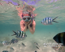 Underwater Odyssey snorkeling excursion Pattaya Thailand photo 19559