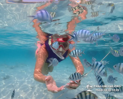 Underwater Odyssey snorkeling excursion in Pattaya Thailand photo 805