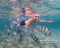 Underwater Odyssey snorkeling excursion Pattaya Thailand photo 11292