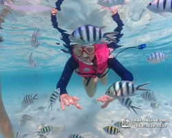 Underwater Odyssey snorkeling excursion in Pattaya Thailand photo 735