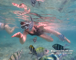 Underwater Odyssey snorkeling tour from Pattaya Thailand photo 14353