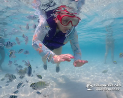 Underwater Odyssey snorkeling excursion in Pattaya Thailand photo 900