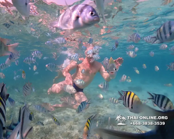 Underwater Odyssey snorkeling excursion Pattaya Thailand photo 11298