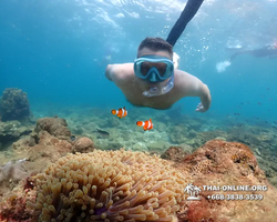 Underwater Odyssey snorkeling excursion Pattaya Thailand photo 11446