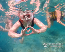 Underwater Odyssey snorkeling excursion Pattaya Thailand photo 11556