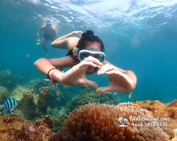 Underwater Odyssey snorkeling tour from Pattaya Thailand photo 14285