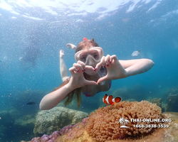 Underwater Odyssey snorkeling excursion Pattaya Thailand photo 11524