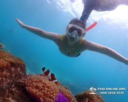 Underwater Odyssey snorkeling excursion in Pattaya Thailand photo 1005
