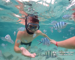 Underwater Odyssey snorkeling excursion in Pattaya Thailand photo 44