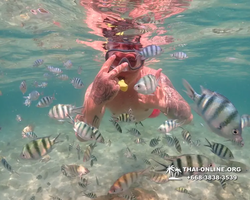 Underwater Odyssey snorkeling excursion Pattaya Thailand photo 14888