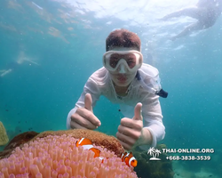 Underwater Odyssey snorkeling tour from Pattaya Thailand photo 18610