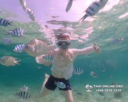 Underwater Odyssey snorkeling tour from Pattaya Thailand photo 18399