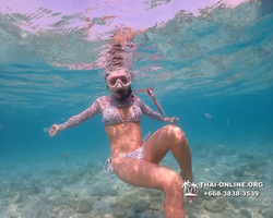 Underwater Odyssey snorkeling excursion Pattaya Thailand photo 11002