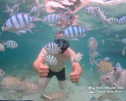 Underwater Odyssey snorkeling excursion in Pattaya Thailand photo 166