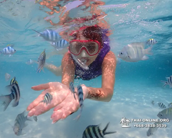 Underwater Odyssey snorkeling excursion in Pattaya Thailand photo 740