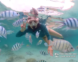 Underwater Odyssey snorkeling excursion in Pattaya Thailand photo 119