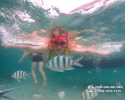 Underwater Odyssey snorkeling excursion in Pattaya Thailand photo 133