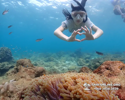 Underwater Odyssey snorkeling excursion Pattaya Thailand photo 11396