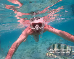 Underwater Odyssey snorkeling excursion Pattaya Thailand photo 11130