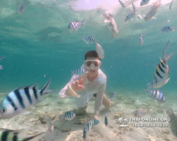Underwater Odyssey snorkeling tour from Pattaya Thailand photo 18563