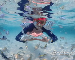 Underwater Odyssey snorkeling excursion in Pattaya Thailand photo 803